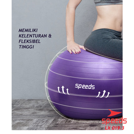 SPEEDS Gym Ball fitness 75 cm / Gym Ball / Yoga Ball Exercise Equipment (Free Pump) Gymball 019-3