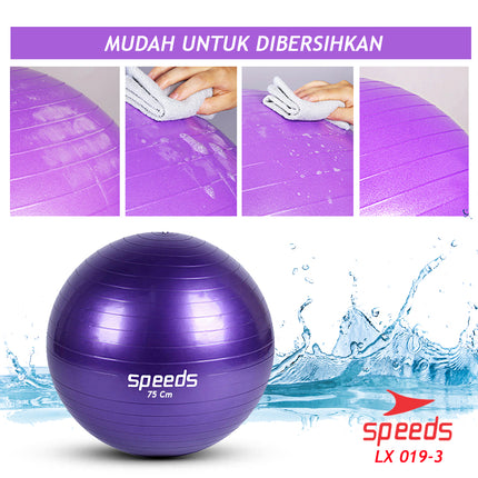 SPEEDS Gym Ball fitness 75 cm / Gym Ball / Yoga Ball Exercise Equipment (Free Pump) Gymball 019-3